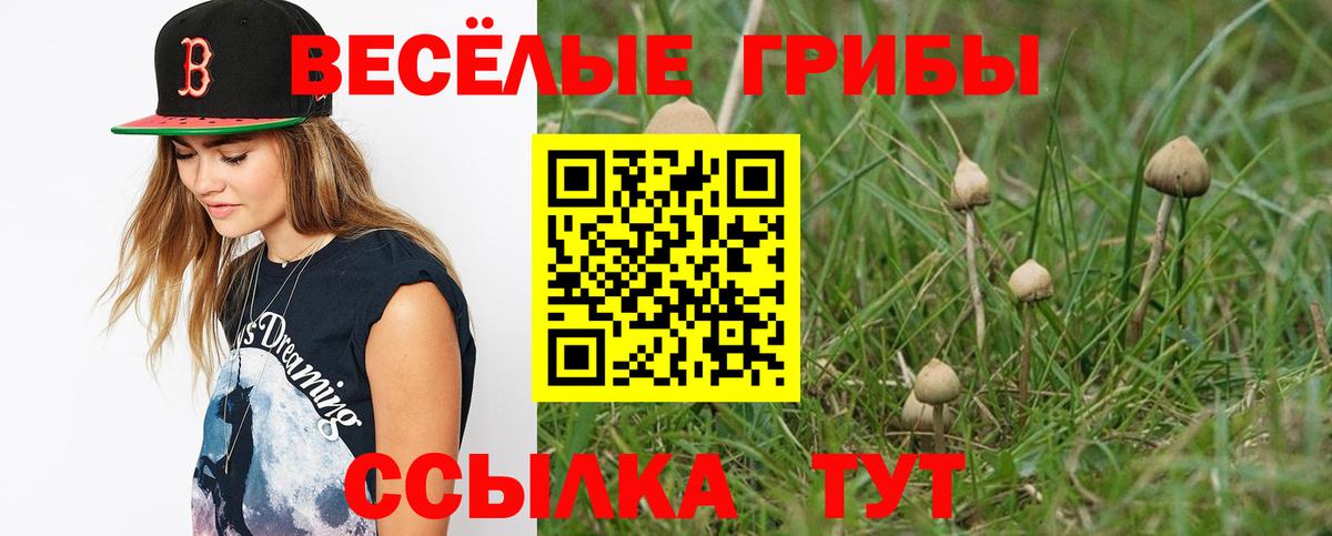 Псилоцибиновые грибы прущие грибы Ефремов